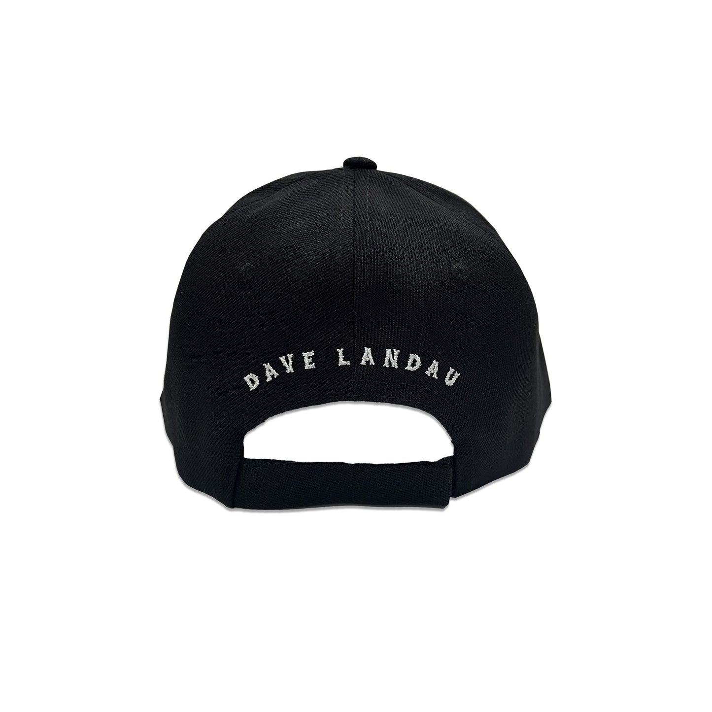 Ahoy Skull Logo Hat